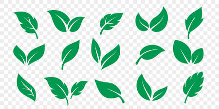 Green leaf icons set on white background. Vector vegetarian, vegan, eco and organic herbalのイラスト素材
