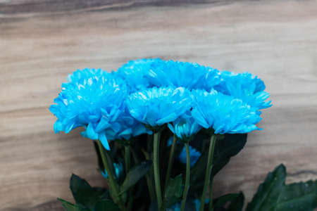 colorful flowers on a wooden table. place for textの写真素材