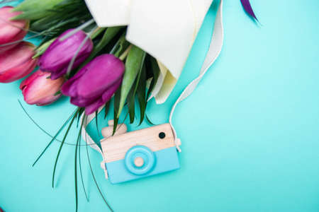 olorful tulips over a blue background in a flat lay composition with copy space and a small wooden cameraの写真素材