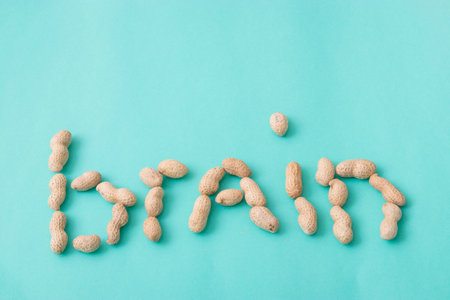 peanuts nut healthy nut for health, proper nutritionの写真素材