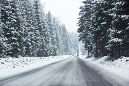 winter road in the mountains and trees with snow. Polandの写真素材
