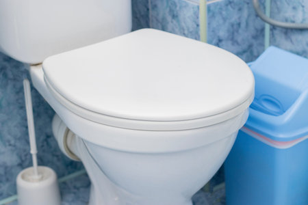 Bathroom interior with new ceramic toilet bowl,