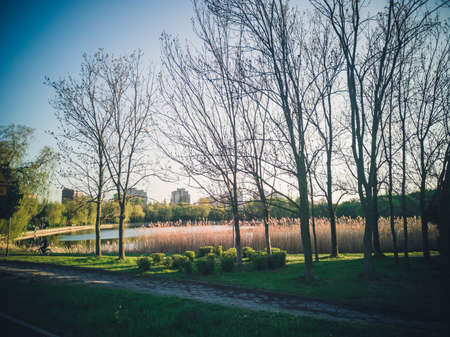 park in the city with a river, Sunset over city skylineの写真素材
