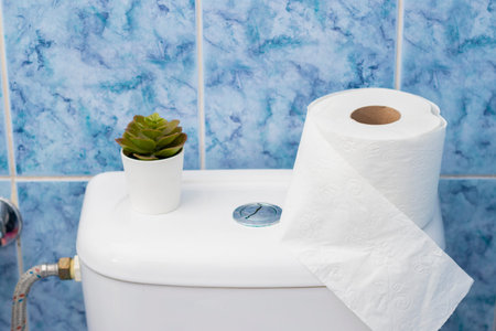 Bathroom interior with new ceramic toilet bowl,