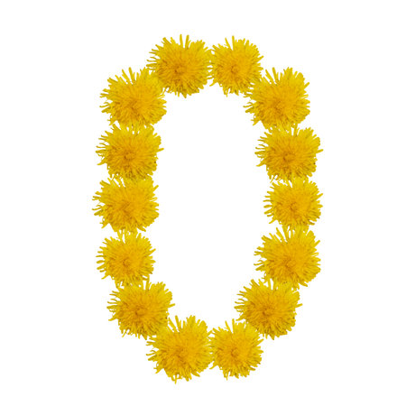 Number zero of flowers, figures from dandelions, is isolated.の写真素材