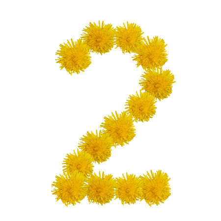 Number two of flowers, figures from dandelions, is isolated.の写真素材