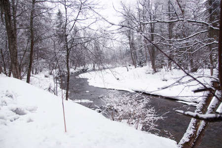winter landscape, peaceful changeable landscape of forest and river. Winter river in snow forest landscape viewの写真素材