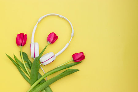 Spring flowers, bunch of red tulips on yellow background, white wireless headphones on yellow background. Romantic, music, love concept. Flat layの写真素材