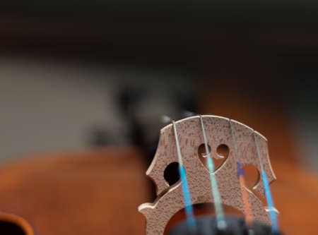 bridge a brown wooden cello playing music for an orchestraの写真素材