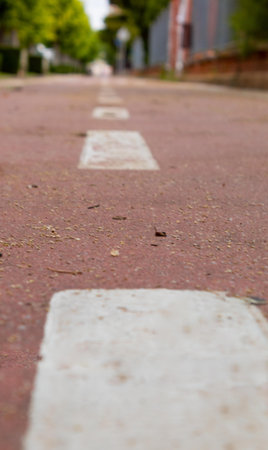 red gummed bike lane laid out by the cityの写真素材
