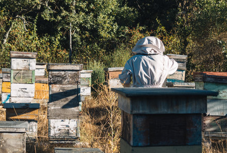 young beekeeper performing tasks in the middle of the beehives in the middle of the field