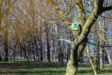 Tree-hung birdhouse with circle-shaped entrance hole on an autumn day.