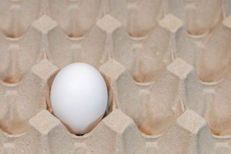 insulated chicken egg white in an egg cup or carton insulated concept box