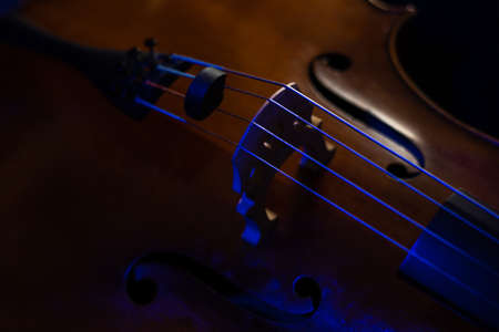 detail from above of a wood and string instrument such as violin, viola or cello with selective focus with blue shadows and highlightsの写真素材