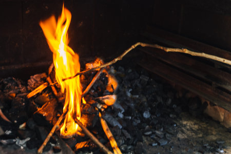 bonfire and embers lit with branches of a tree and charcoal prepared to make a barbecue.