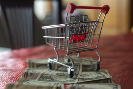 selective focus of a shopping cart placed on dollars domestic economy conceptの写真素材