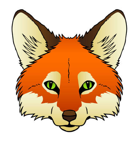 A hand drawn of a red fox s face のイラスト素材