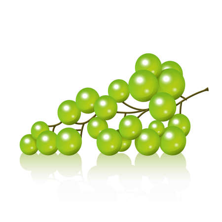 Realistic grape bunch illustration のイラスト素材