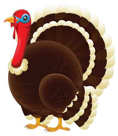 A plump thanksgiving turkey standing のイラスト素材