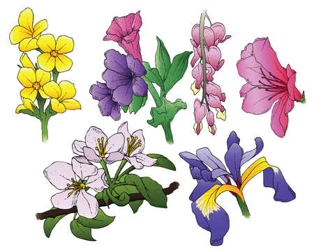 A set of 6 hand-drawn flowers のイラスト素材