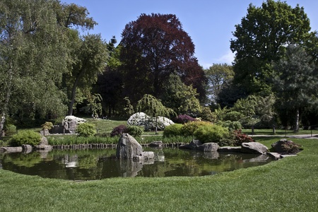 Park landscape. の写真素材