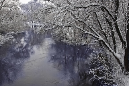 Winter landscape with frozen trees near small river      の写真素材