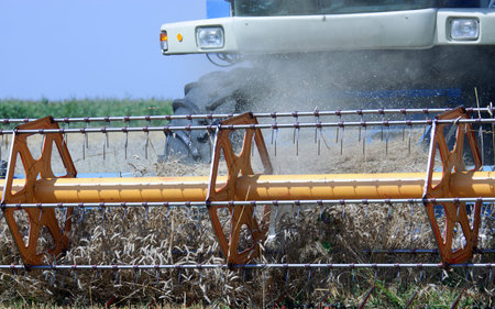 Harvester working in a wheat field