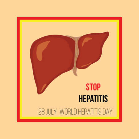 World hepatitis day. Vector illustration. The liver in a square frame with the inscription Stop hepatitisのイラスト素材