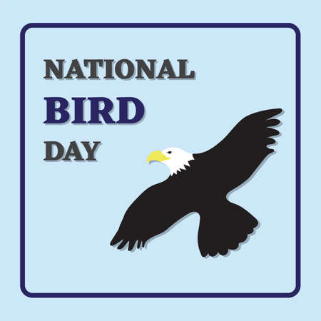 National bird day. Bald eagle . Vector illustration.のイラスト素材