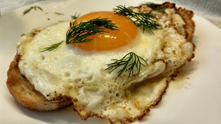 An egg sandwichの写真素材