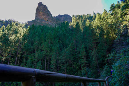 Canarian forest with a roque in La Orotava. Very typical print from Tenerife, Canary Islands.の写真素材