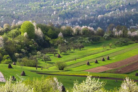 Cultivated fields in the spring in Maramures, Romaniaの写真素材
