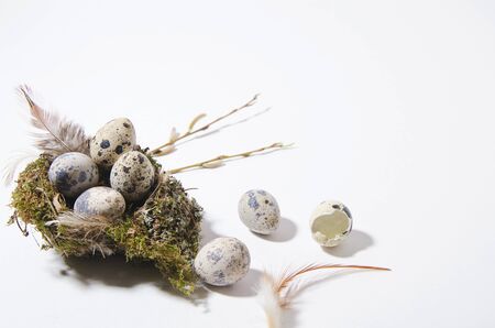 Small quail eggs lie in a bird's nest on a white background. Nearby are small quail eggs, one shell and feathers. Isolate horizontal viewの写真素材