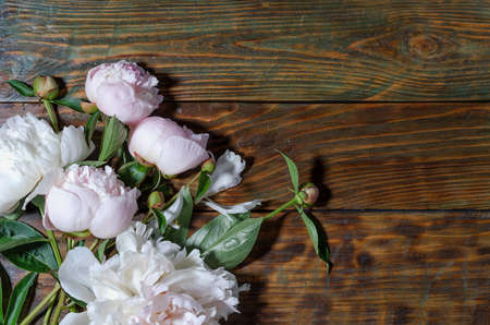 A beautiful bouquet of five buds of pink peony lies on a wooden aged background in the lower left corner. Horizontal background, copy space, top view.の写真素材