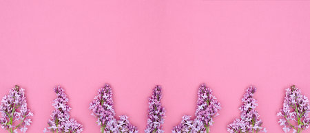 The concept of spring floral vegetable background. Lilac branches separately lie on a pink...