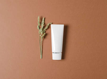 Eco-friendly tube with cream on a brown background. Cosmetics for women with a natural composition. Feminine hygiene product for facial skin care. Skin care, organic balm, mild lotion. Copy spaceの写真素材