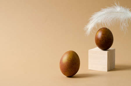 Minimalistic Easter background. A brown chicken egg stands on a beige background, an egg and a feather are out of focus in the background. Copy spaceの写真素材