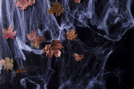 Halloween background. Web with dry leaves in a dark key, selective focusの写真素材