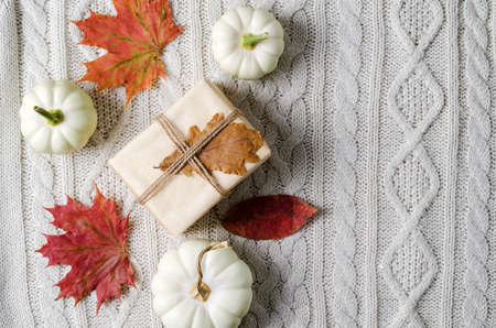Warm cozy autumn concept. White pumpkins and gifts in kraft paper on beige knitted background, copy spaceの写真素材