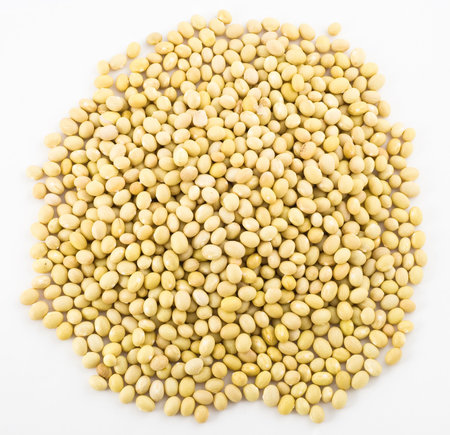 Green beans on white background. 