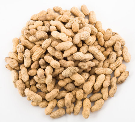 Peanut on white background. 