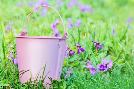 Small pink pail against grass with spring flowersの写真素材