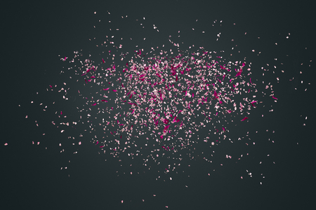 Pink flower petals failing down on dark backgroundの写真素材