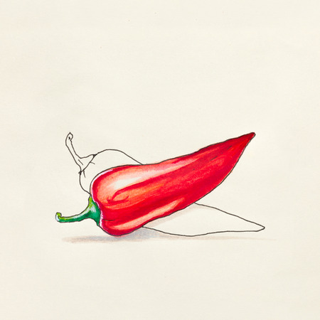 Sketch drawing on a paper of red hot pepperの写真素材