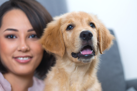 Young beautiful woman playing with her dogの写真素材