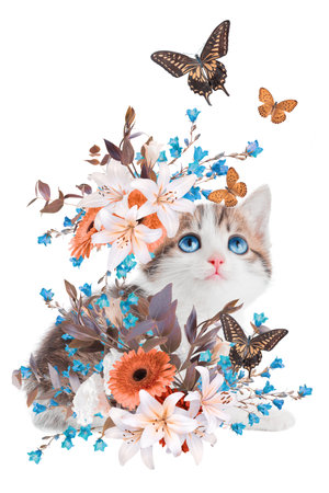 Abstract contemporary art collage portrait of young kitten with flowers isolated on white backgroundの写真素材