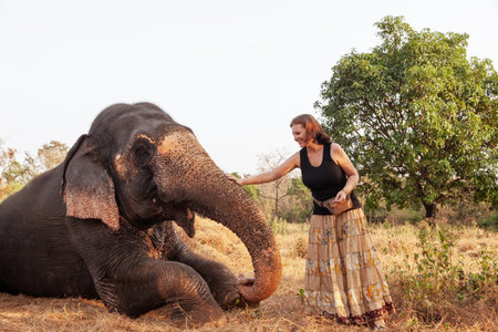 Gentle interaction between visitor and elephant in natural habitat. for travel, wildlife tourism, conservation, and ethical animal encounter promotional materials.の写真素材