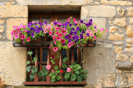 A window with potted flowersの写真素材