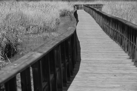 Wooden footbridge on the tables of Daimiel, Spainの写真素材