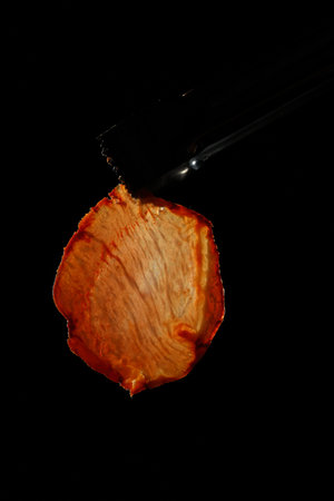 Slice of acorn-fed Iberian loin held with a clamp against the black background